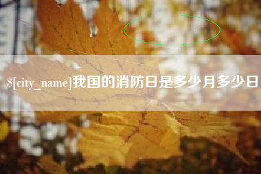 澧县我国的消防日是多少月多少日