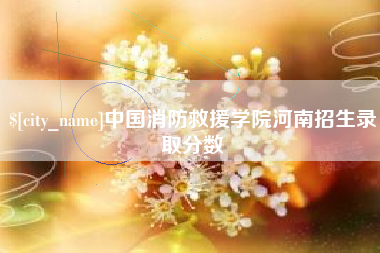 澧县中国消防救援学院河南招生录取分数