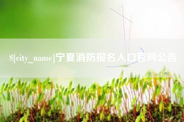澧县宁夏消防报名入口官网公告