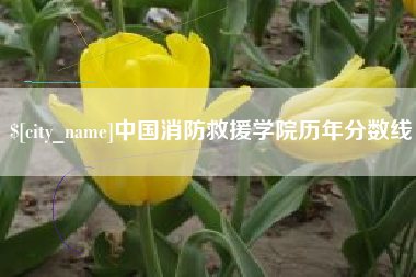 澧县中国消防救援学院历年分数线