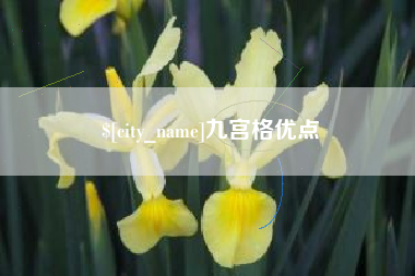 澧县九宫格优点