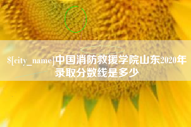 澧县中国消防救援学院山东2020年录取分数线是多少