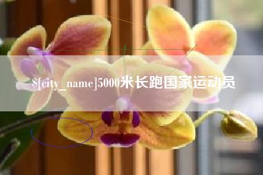 澧县5000米长跑国家运动员