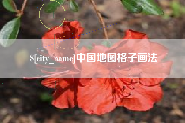 澧县中国地图格子画法