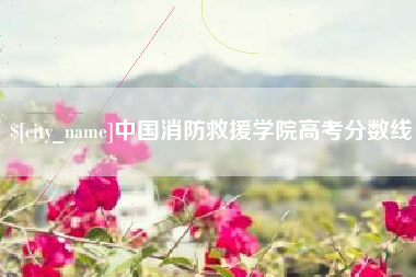 澧县中国消防救援学院高考分数线
