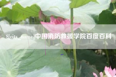 澧县中国消防救援学院百度百科