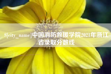 澧县中国消防救援学院2021年浙江省录取分数线