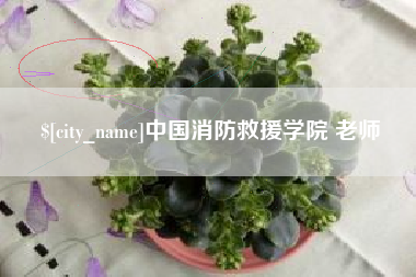 澧县中国消防救援学院 老师