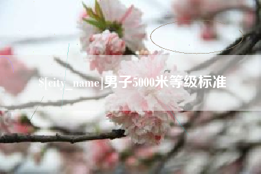 澧县男子5000米等级标准
