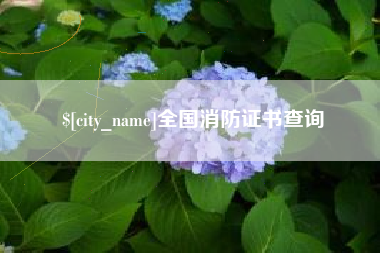 澧县全国消防证书查询