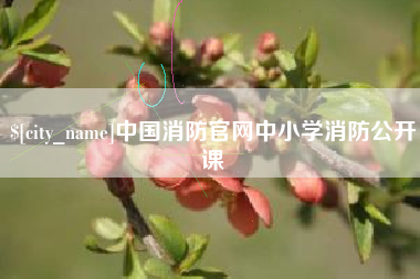 澧县中国消防官网中小学消防公开课