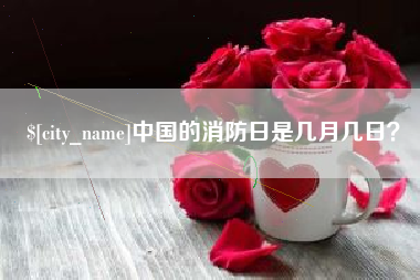 澧县中国的消防日是几月几日？