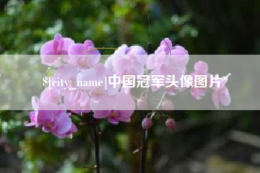 澧县中国冠军头像图片