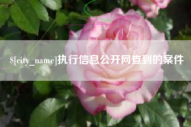 澧县执行信息公开网查到的案件
