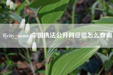 澧县中国执法公开网征信怎么查询