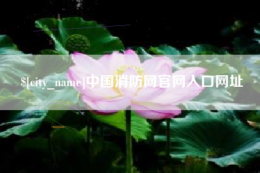 澧县中国消防网官网入口网址