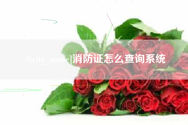 澧县消防证怎么查询系统