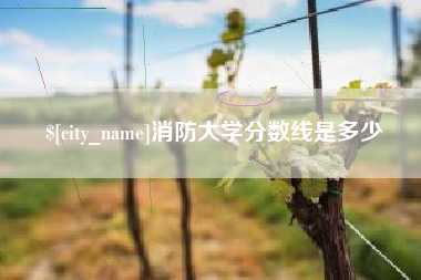 澧县消防大学分数线是多少