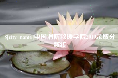 澧县中国消防救援学院2019录取分数线
