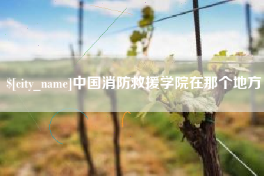 澧县中国消防救援学院在那个地方