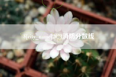 澧县2021消防分数线
