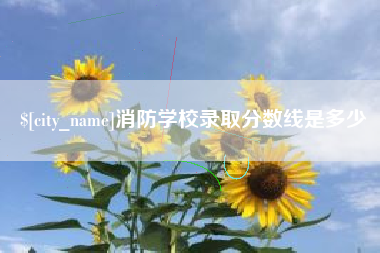 澧县消防学校录取分数线是多少
