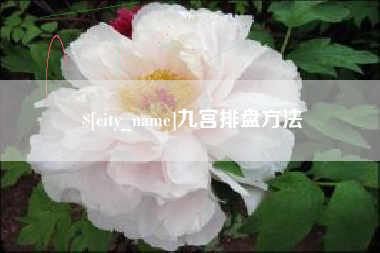 澧县九宫排盘方法