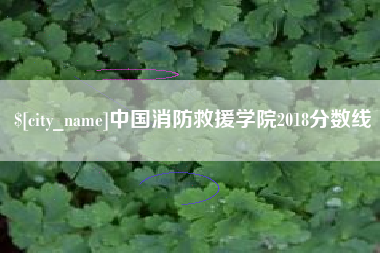 澧县中国消防救援学院2018分数线