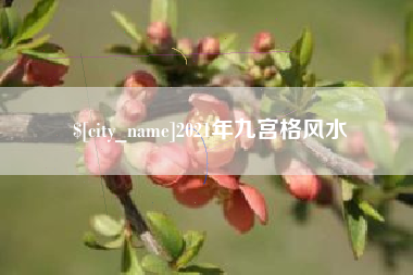 澧县2021年九宫格风水