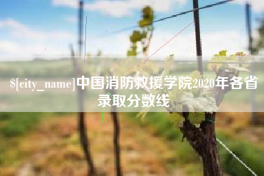 澧县中国消防救援学院2020年各省录取分数线