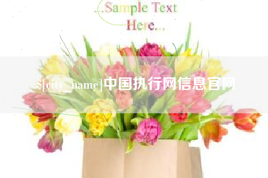 澧县中国执行网信息官网