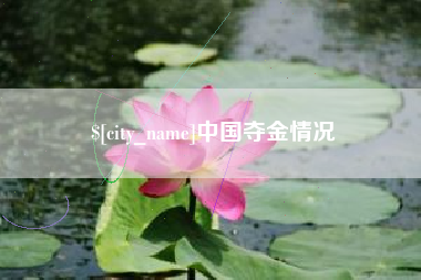 澧县中国夺金情况