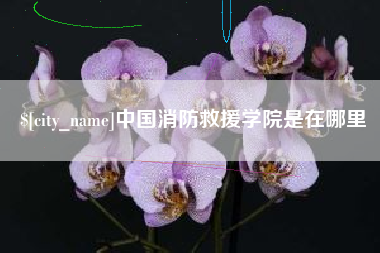 澧县中国消防救援学院是在哪里