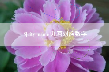 澧县九宫对应数字