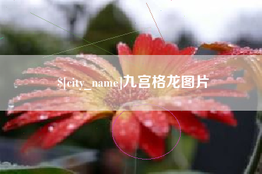 澧县九宫格龙图片