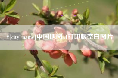 澧县中国地图a4打印版空白图片