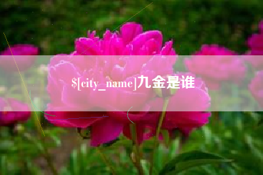 澧县九金是谁