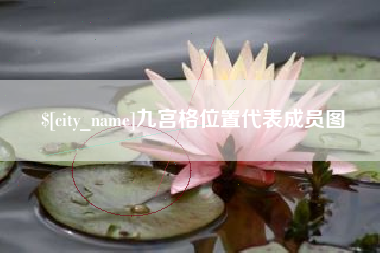 澧县九宫格位置代表成员图