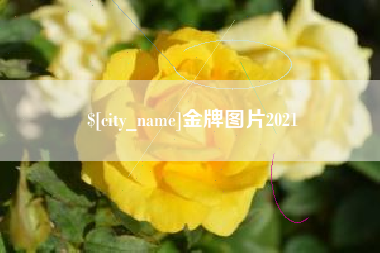 澧县金牌图片2021