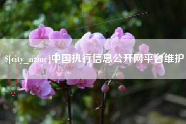 澧县中国执行信息公开网平台维护