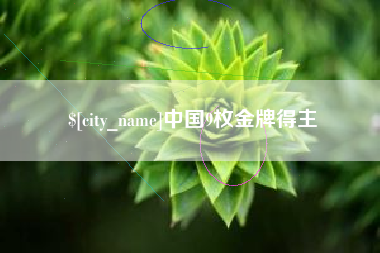 澧县中国9枚金牌得主