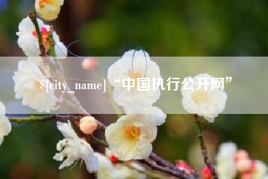 澧县“中国执行公开网”