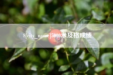 澧县5000米及格成绩