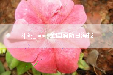 澧县全国消防日海报