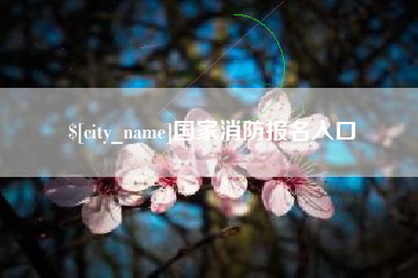 澧县国家消防报名入口