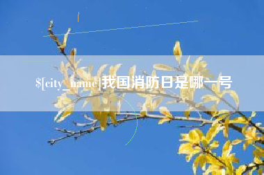 澧县我国消防日是哪一号
