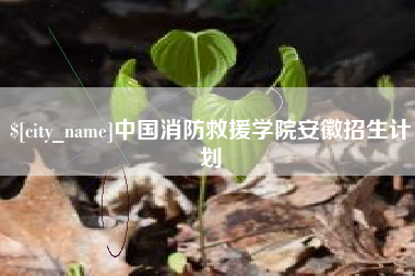 澧县中国消防救援学院安徽招生计划