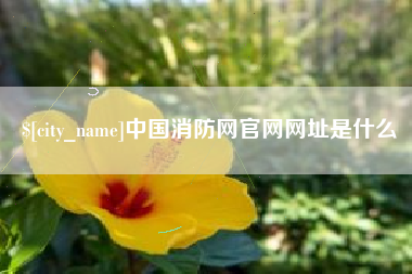 澧县中国消防网官网网址是什么