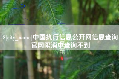澧县中国执行信息公开网信息查询官网限消中查询不到