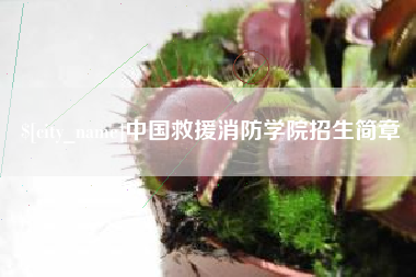 澧县中国救援消防学院招生简章